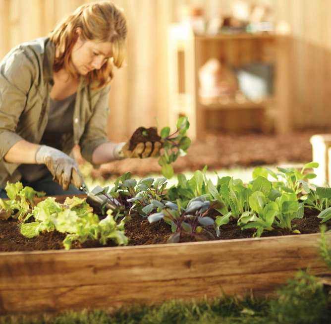 Prírodný impregnovaný vyvýšený drevený záhon 200 x 100 x 27 cm