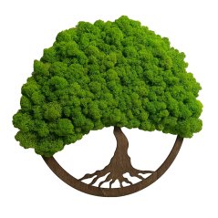 Moos Lebensbaum 30cm