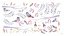 Birds and Twigs aranyos gyerek falmatrica - Méret: 100 x 200 cm