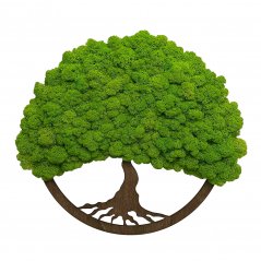 Slika iz mahu z okroglim okvirjem drevo življenja 40 cm