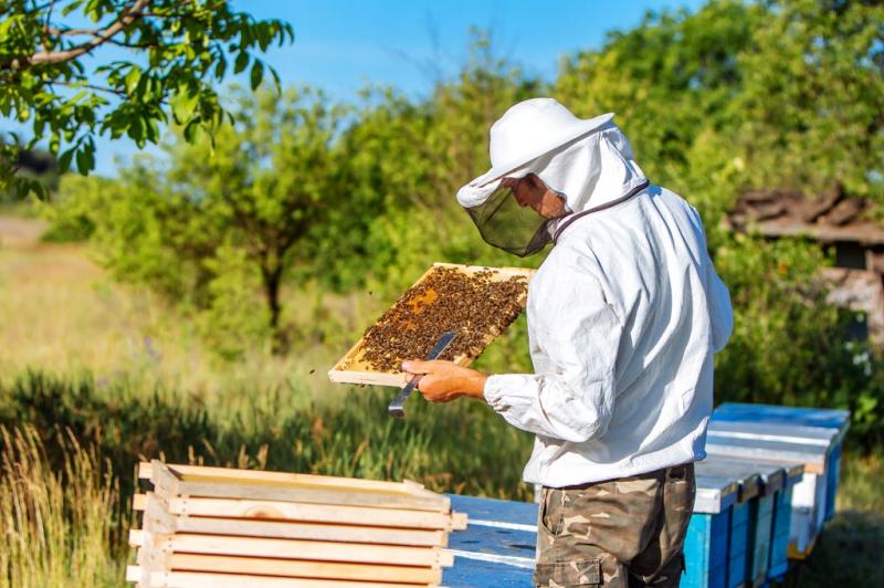 Troslojni pčelarski kombinezon veličine XXL