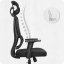 CABRO C506 scaun de birou ergonomic cu tetieră și suport lombar, până la 150 kg, negru