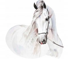 Wandtattoo weißes Pferd