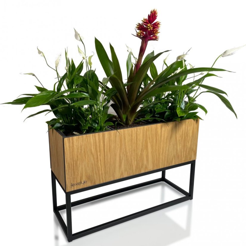 Декоративен широк цветарник от гладък естествен дъб LOFT FIORINO 62X22X40 см