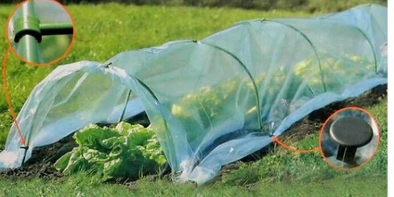 Kiskerti polytunnel 6 x 0,5 m 