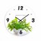 Kuhinjska stenska ura z zelišči