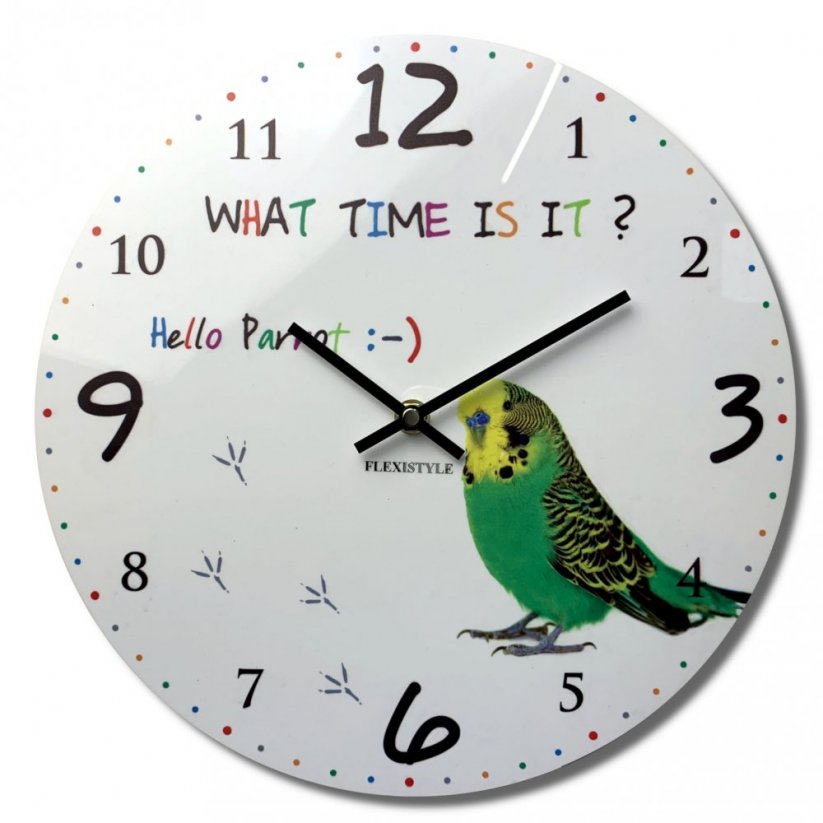Orologio da parete per bambini di qualità 30 cm con pappagallo
