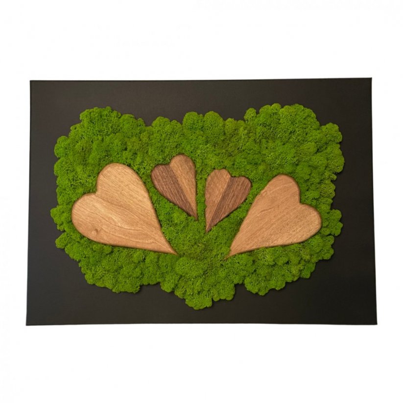 Elegantna slika od mahovine sa srcima 70 x 50 cm