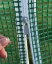 Verstärktes Gartenfoliengewächshaus PREMIUM 2 × 3 m + GESCHENK