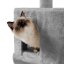 Graffiatoio per gatti - grigio