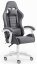 Játékos szék HC-1003 Grey-White