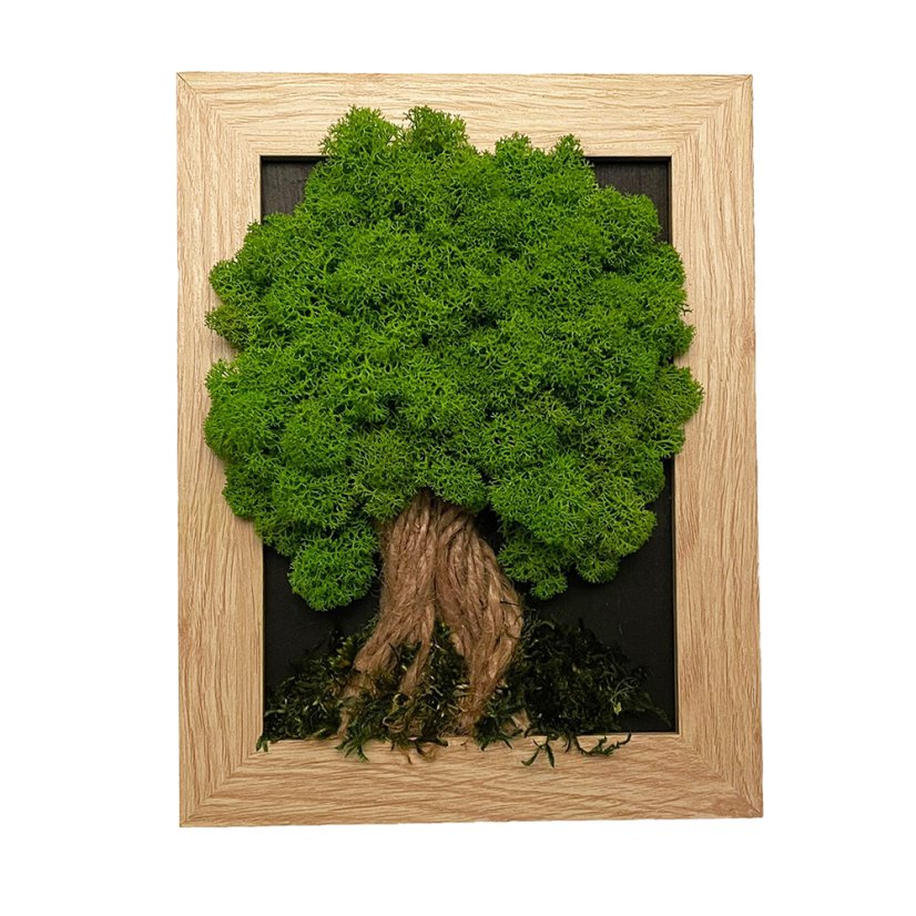 Slika mahu v rjavem okvirju 17 x 22 cm