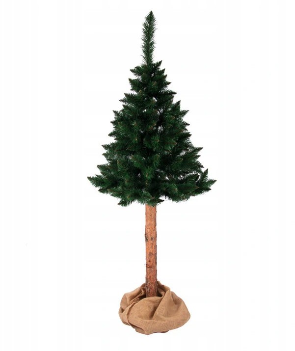 Nenavaden božični himalajski bor na deblu 220 cm