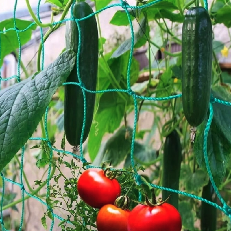 Structură de susținere pentru grădină cu grilaj 1,8 x 2,7 m