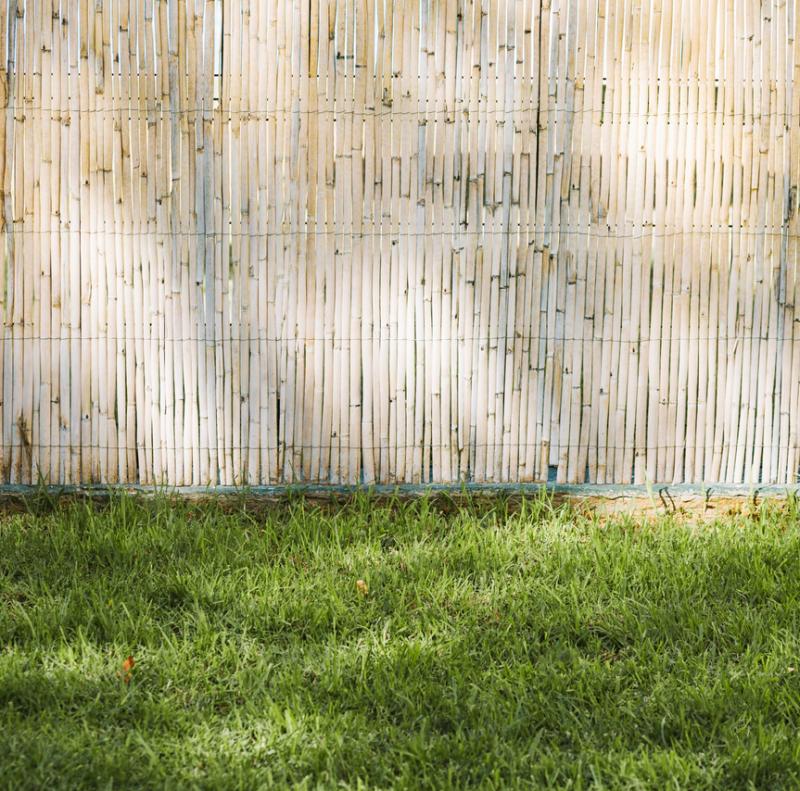Bambusový plot 200 cm x 500 cm