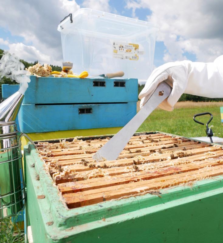 Пчеларско длето от неръждаема стомана 26 см
