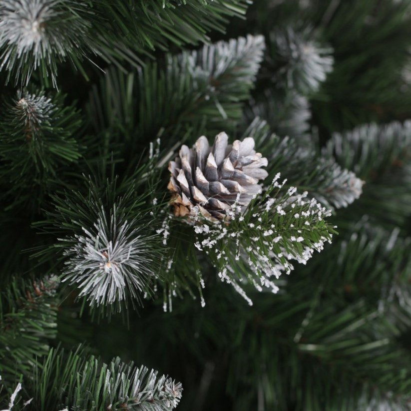 Vianočná zasnežená borovica s hustým ihličím a šiškami