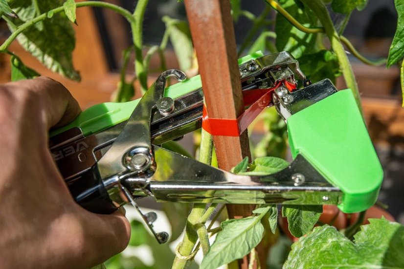 Podpera pre rastliny, sada 25 m pásky + 200 sponky