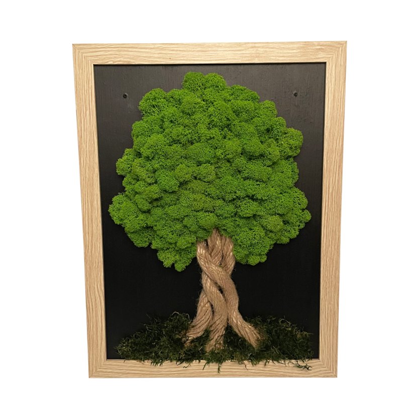 Slika iz mahu v svetlo rjavem okvirju 34 x 44 cm