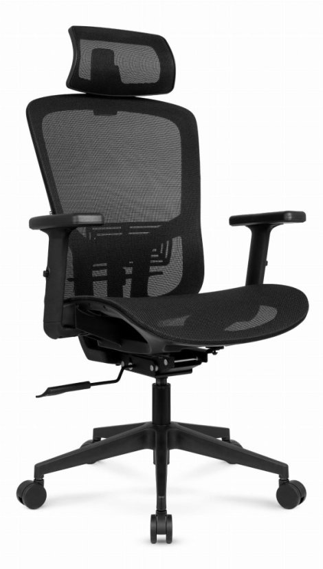 Ergonomski pisarniški stol HC-1045 z mrežastim naslonom - črn