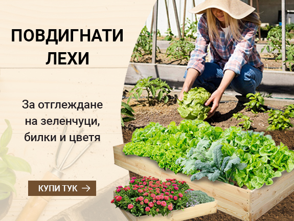 Повдигнати лехи