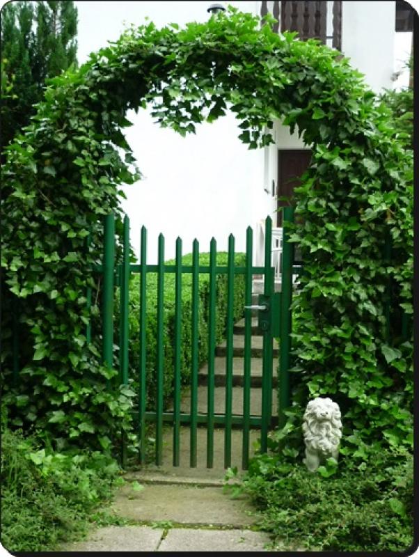 Arc de pergolă de grădină pentru plante cățărătoare 140 x 38 x 240 cm