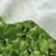 Țesătură agro albă 1,6 x 5 m - țesătură nețesută de protecție pentru plante
