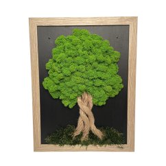 Machový obrázok v svetlohnedom ráme 34 x 44 cm