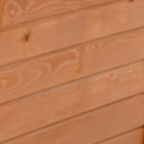 Teak