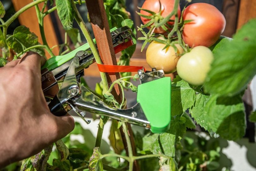 Podpera pre rastliny, sada 25 m pásky + 200 sponky