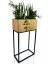 Декоративен висок цветарник от гладък естествен дъб LOFT FIORINO 42X22X80 см