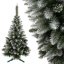 Vianočný stromček borovica 150 cm