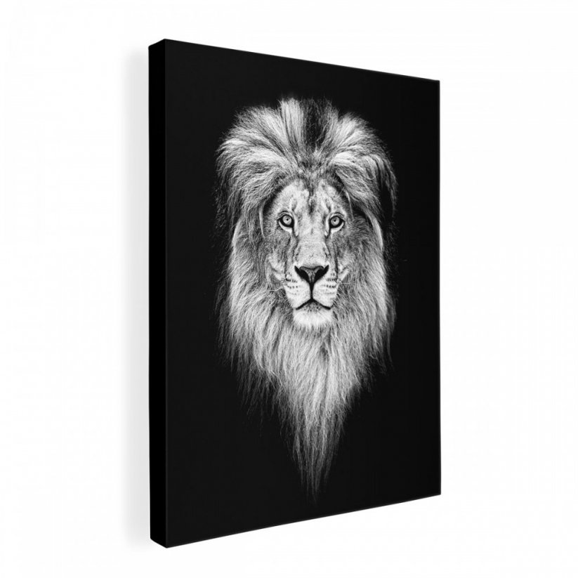 Kvalitný obraz na stenu s motívom leva