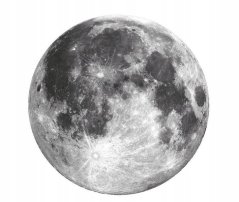 Okrasna stenska nalepka - luna 71 cm