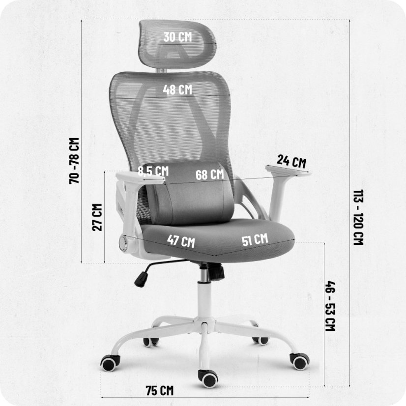 CABRO C507 scaun ergonomic cu suport lombar și pentru cap reglabil, gri