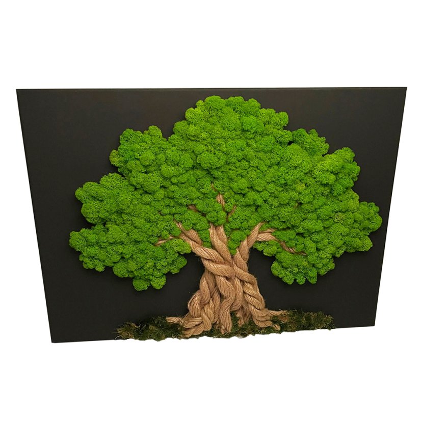 Mahovo drevo 60 x 90 cm
