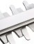 Accu-Heckenschere Energy + 18V, Li-Ion, 58G032 GRAPHITE