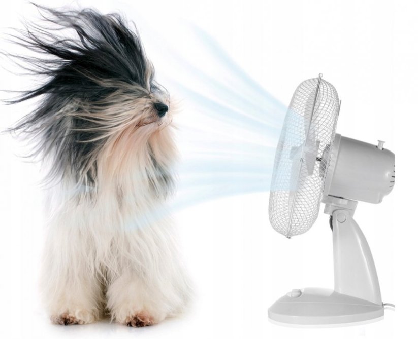 Stolný ventilátor MalTec WBS60WT biely