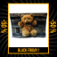 BLACK FRIDAY Kvalitná detská deka s motívom medvedíka 130x160 cm