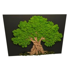 Moosbaum 60 x 90 cm