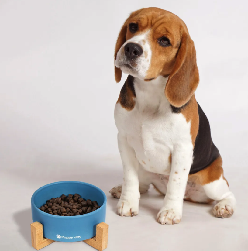 Keramiknapf für Hunde und Katzen mit Bambusboden – mehrere Farben