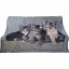 Sivá deka s mačkami akrylová