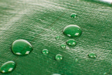 Prelată verde-argintie rezistentă la îngheţ