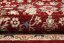Eleganter roter Teppich