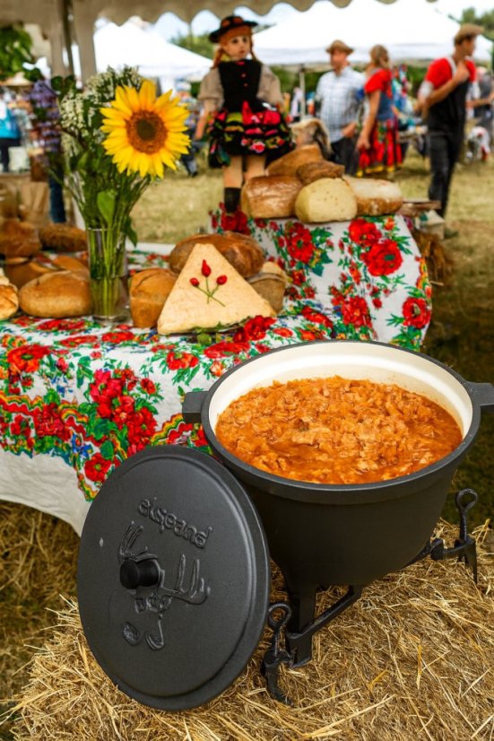 Bollitore smaltato con superficie e coperchio in ghisa