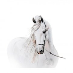 Bellissimo adesivo da parete con cavallo bianco