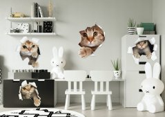 Dekorační nálepka na zeď zvědavé kočky