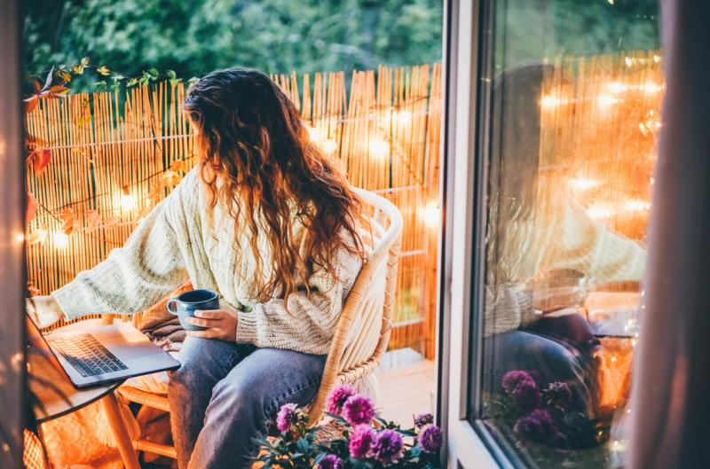 Bambusový plot 200 cm x 500 cm