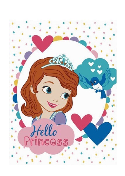 Bílá dětská deka s princeznou a ptáčkem