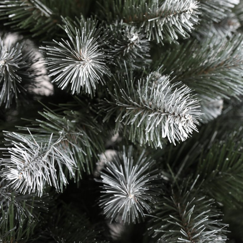 Weihnachtsbaum Kiefer 150 cm